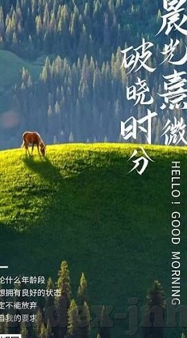 足球比分网捷报网-足球比分网捷报网，球迷的实时比分与赛事资讯宝库